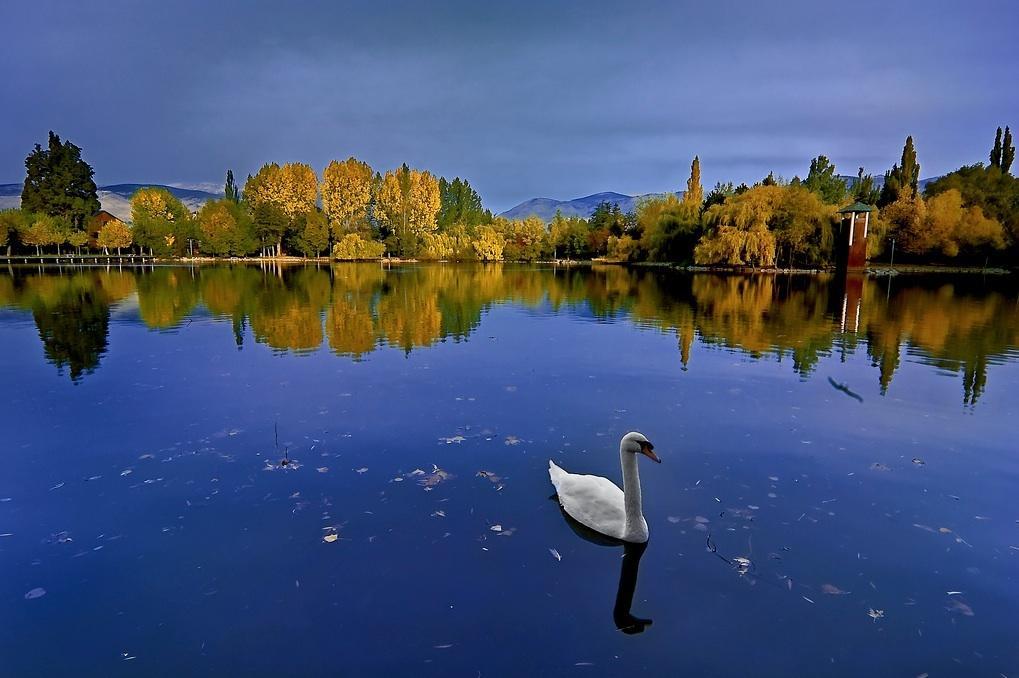 Hotel Del Lago Puigcerdà Zewnętrze zdjęcie